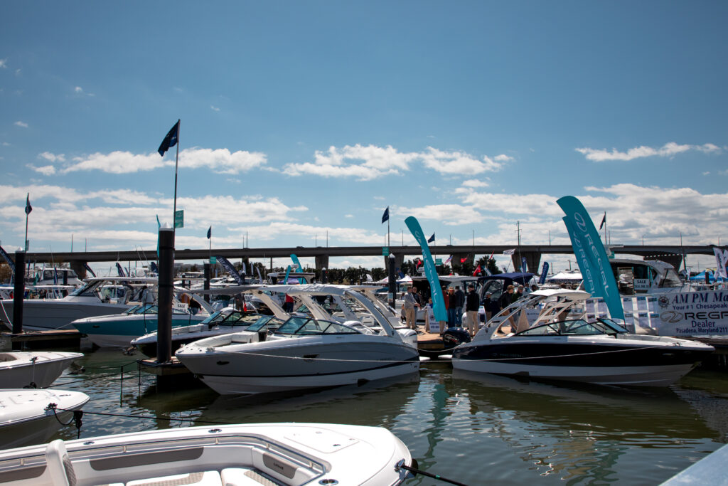 In-Water Bowriders - Athena Arnold Photography