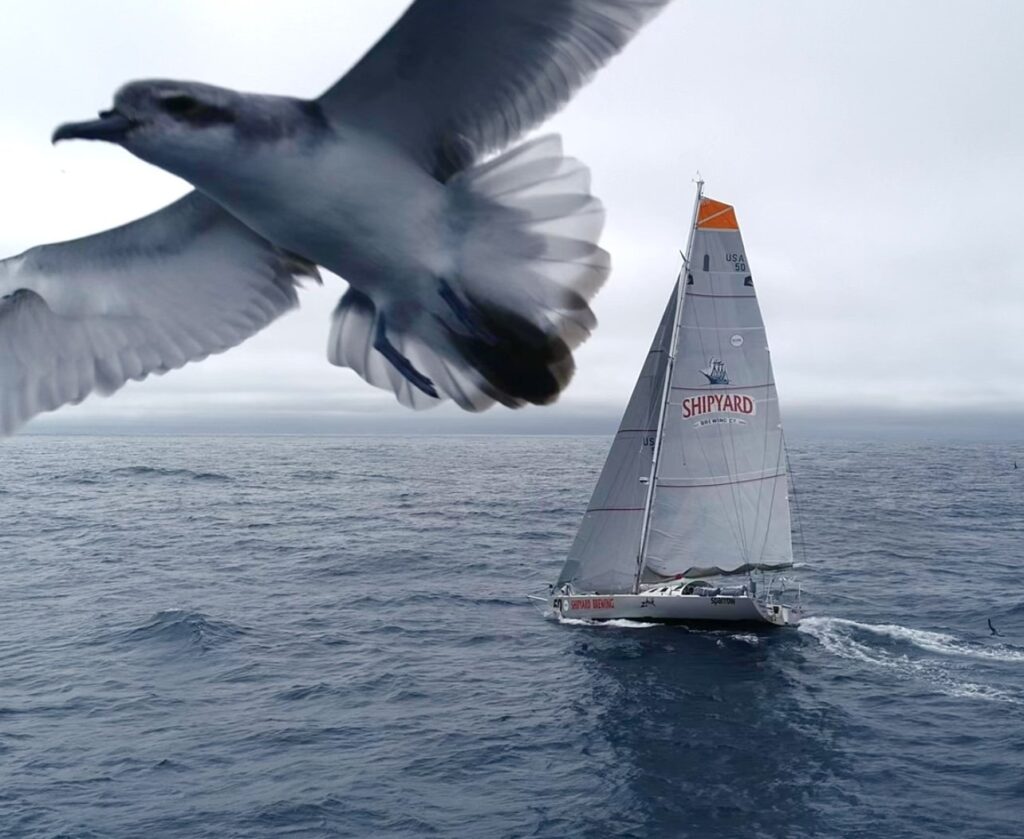 July 14 - Ronnie Simpson Launches New Racing Yacht and Campaign for the 2027 Global Solo Challenge Race