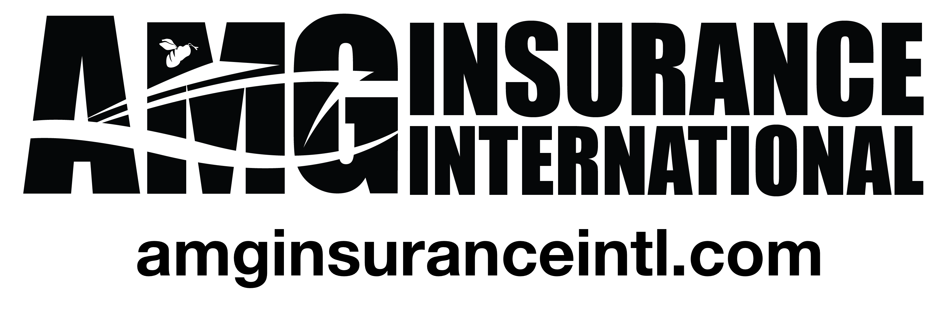 AMG Insurance International