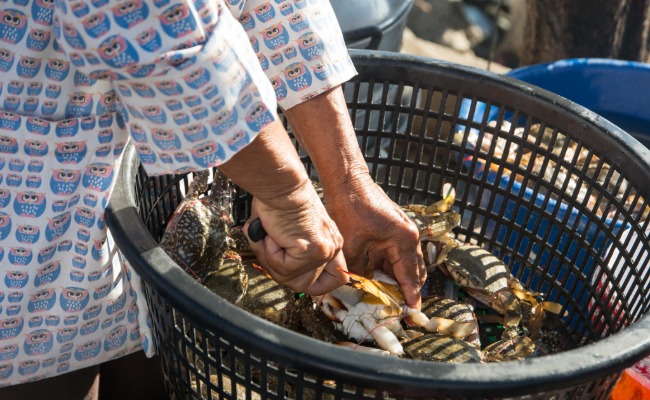 Crabs in bushel basket