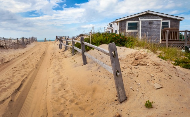 Beach on Assateague 