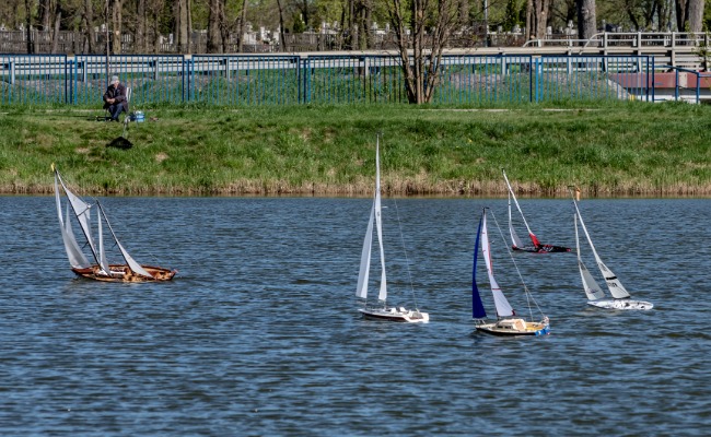 RC Sailboats on a lake